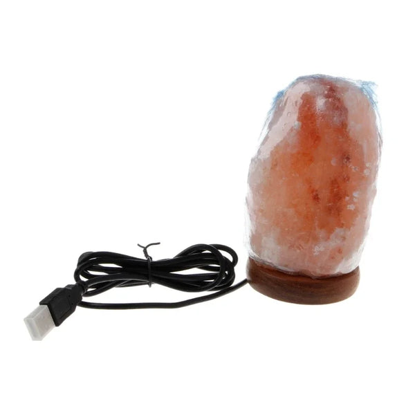 Hand-Carved Himalayan Salt Lamp